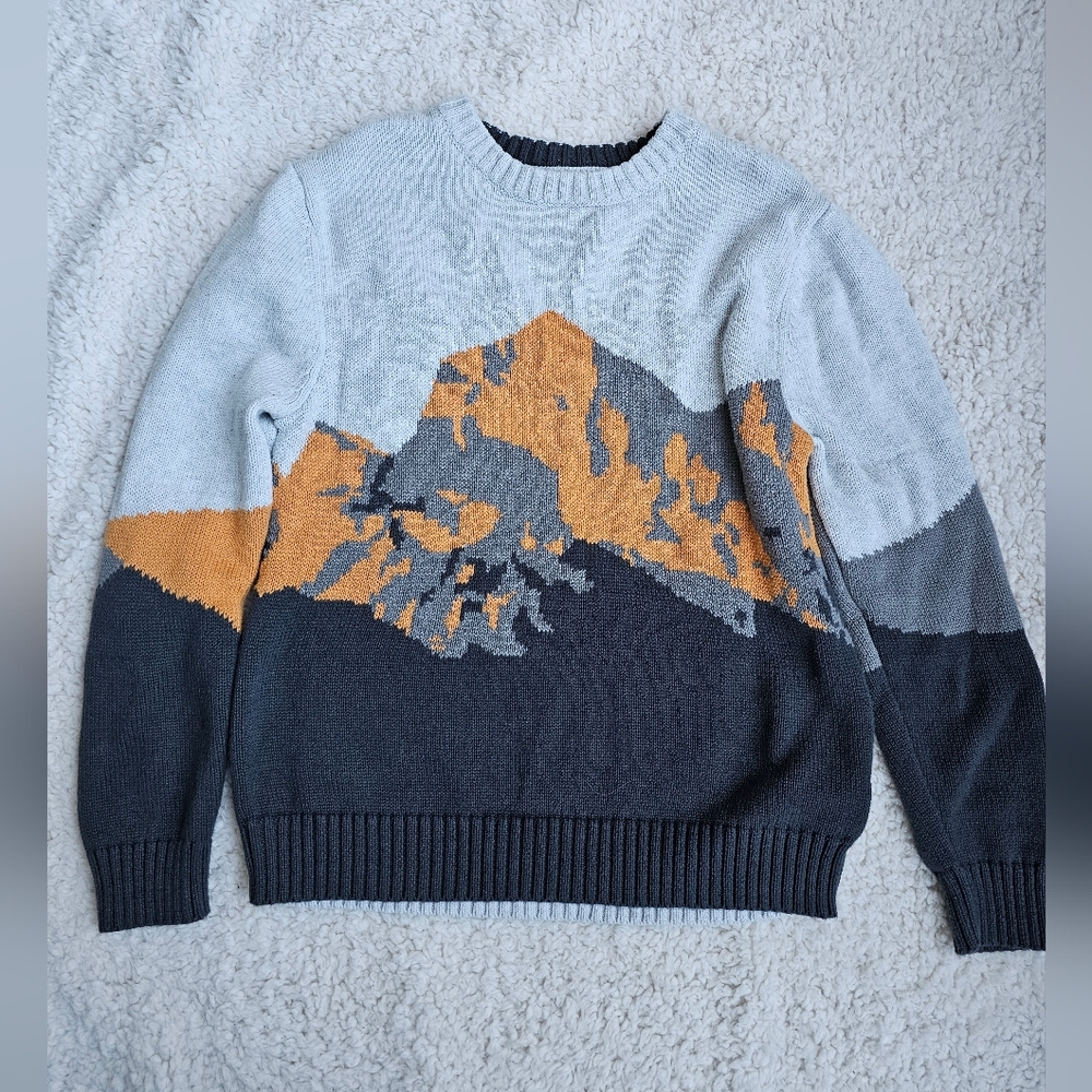 Boy's Cat & Jack Crewneck Sweater - Light Gray, Gray, Orange